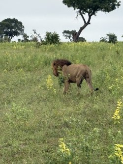 IMG_7868.jpg IMG_7868.jpg