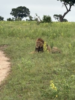 IMG_7869.jpg IMG_7869.jpg