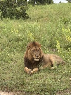 IMG_7870.jpg IMG_7870.jpg