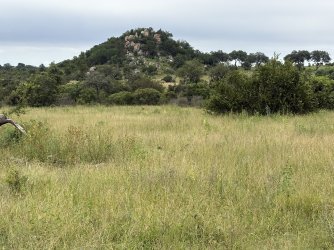 IMG_7872.jpg IMG_7872.jpg