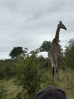 IMG_7876.jpg IMG_7876.jpg