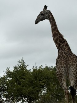 IMG_7878.jpg IMG_7878.jpg