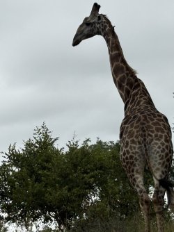 IMG_7879.jpg IMG_7879.jpg