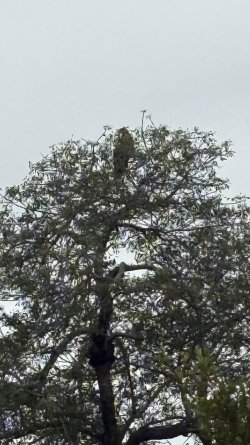 IMG_7880.jpg IMG_7880.jpg