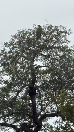 IMG_7881.jpg IMG_7881.jpg