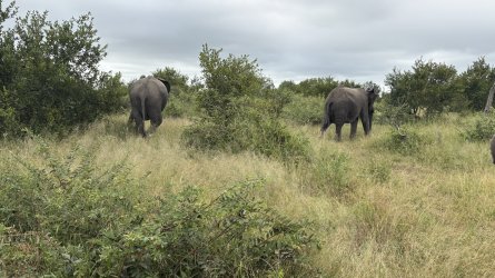 IMG_7882.jpg IMG_7882.jpg