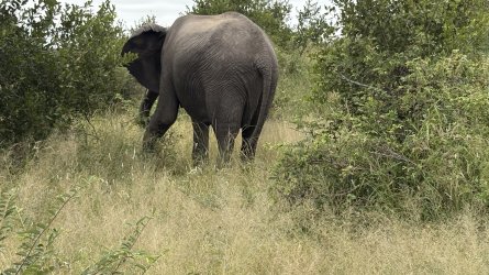 IMG_7883.jpg IMG_7883.jpg