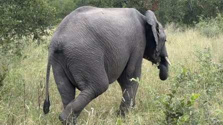 IMG_7884.jpg IMG_7884.jpg