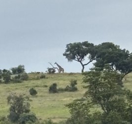 IMG_7888.jpg IMG_7888.jpg