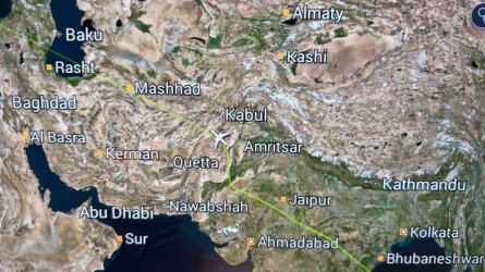 IMG_3937.jpeg IMG_3937.jpeg