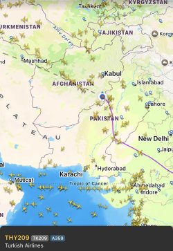 IMG_3938.jpeg IMG_3938.jpeg