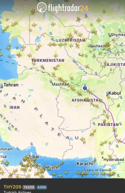 IMG_3950.jpeg IMG_3950.jpeg