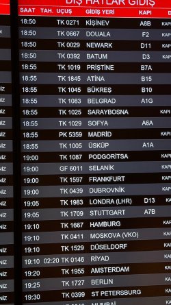 IMG_3986.jpeg IMG_3986.jpeg