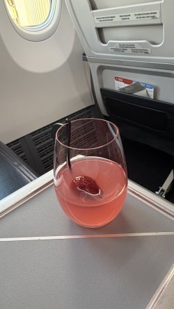 IMG_3995.jpeg IMG_3995.jpeg