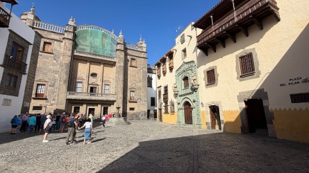 IMG_4231.JPEG IMG_4231.JPEG