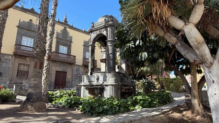 IMG_4251.JPEG IMG_4251.JPEG