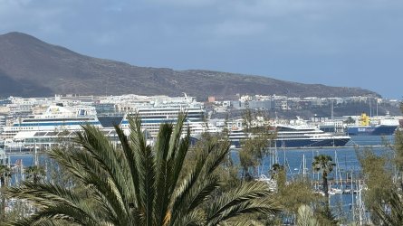 IMG_4284.JPEG IMG_4284.JPEG