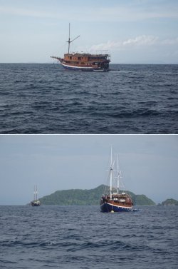 Snip 77.jpg Snip 77.jpg