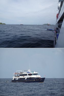 Snip 78.jpg Snip 78.jpg