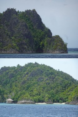 Snip 81.jpg Snip 81.jpg