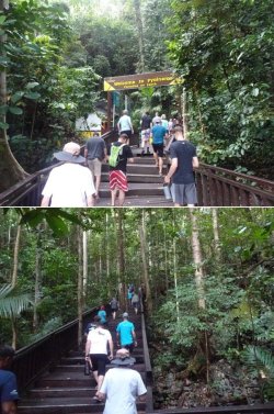 Snip 84.jpg Snip 84.jpg