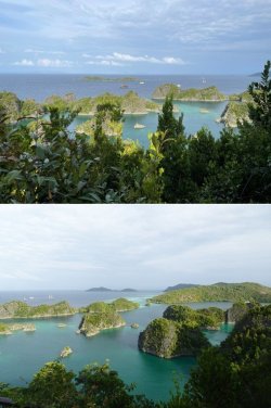 Snip 85.jpg Snip 85.jpg