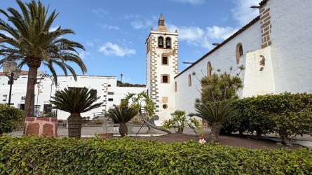 IMG_4502.JPEG IMG_4502.JPEG