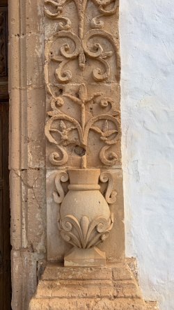 IMG_4505.JPEG IMG_4505.JPEG