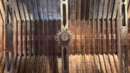 IMG_4523.JPEG IMG_4523.JPEG