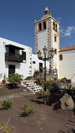 IMG_4541.JPEG IMG_4541.JPEG