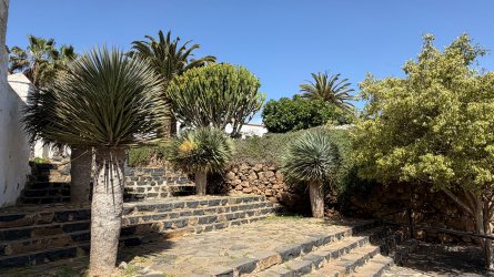 IMG_4545.JPEG IMG_4545.JPEG