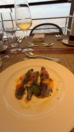 IMG_4590.JPEG IMG_4590.JPEG