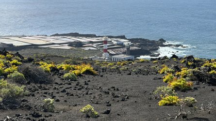 IMG_4789.JPEG IMG_4789.JPEG