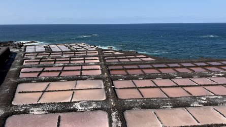 IMG_4795.JPEG IMG_4795.JPEG