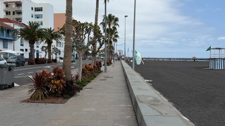 IMG_4826.JPEG IMG_4826.JPEG