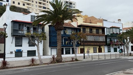 IMG_4830.JPEG IMG_4830.JPEG