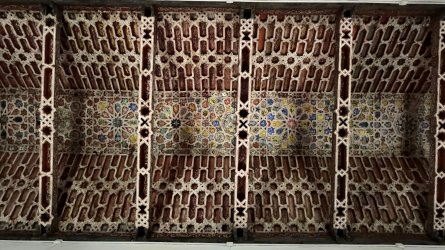 IMG_4851.JPEG IMG_4851.JPEG