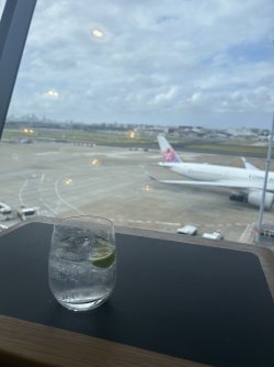 IMG_9937.jpeg IMG_9937.jpeg