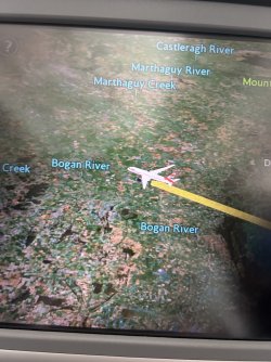 IMG_9946.jpeg IMG_9946.jpeg