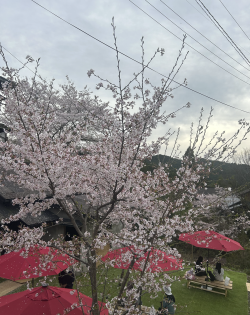 Screenshot 2026-04-14 at 8.55.42 pm.png Screenshot 2026-04-14 at 8.55.42 pm.png