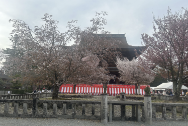 Screenshot 2026-04-14 at 8.56.02 pm.png Screenshot 2026-04-14 at 8.56.02 pm.png