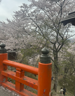 Screenshot 2026-04-14 at 8.56.22 pm.png Screenshot 2026-04-14 at 8.56.22 pm.png