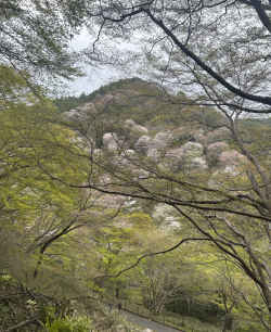 Screenshot 2026-04-14 at 8.56.38 pm.png Screenshot 2026-04-14 at 8.56.38 pm.png