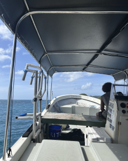 Screenshot 2026-04-14 at 9.31.28 pm.png Screenshot 2026-04-14 at 9.31.28 pm.png