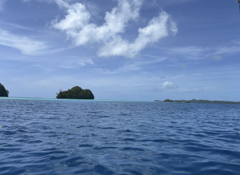 Screenshot 2026-04-14 at 9.32.50 pm.png Screenshot 2026-04-14 at 9.32.50 pm.png