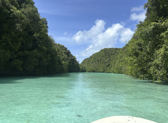 Screenshot 2026-04-14 at 9.33.07 pm.png Screenshot 2026-04-14 at 9.33.07 pm.png