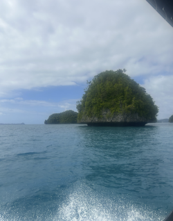 Screenshot 2026-04-14 at 9.33.36 pm.png Screenshot 2026-04-14 at 9.33.36 pm.png