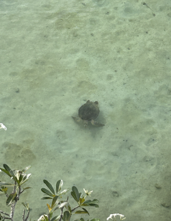 Screenshot 2026-04-14 at 9.43.31 pm.png Screenshot 2026-04-14 at 9.43.31 pm.png