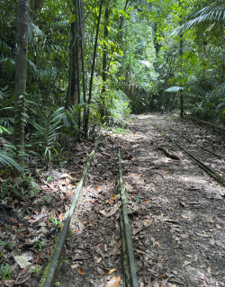 Screenshot 2026-04-14 at 9.53.27 pm.png Screenshot 2026-04-14 at 9.53.27 pm.png