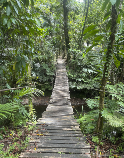 Screenshot 2026-04-14 at 9.54.00 pm.png Screenshot 2026-04-14 at 9.54.00 pm.png